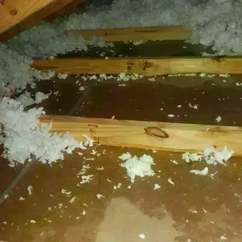 Attic Water Damage in West Bay Shore, NY