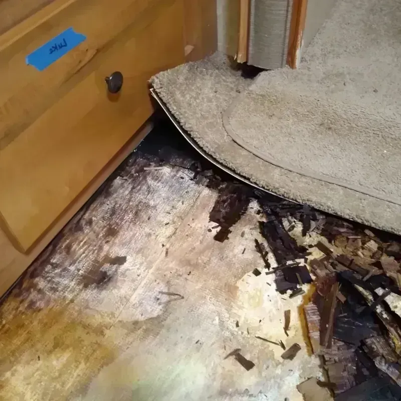 Wood Floor Water Damage in West Bay Shore, NY